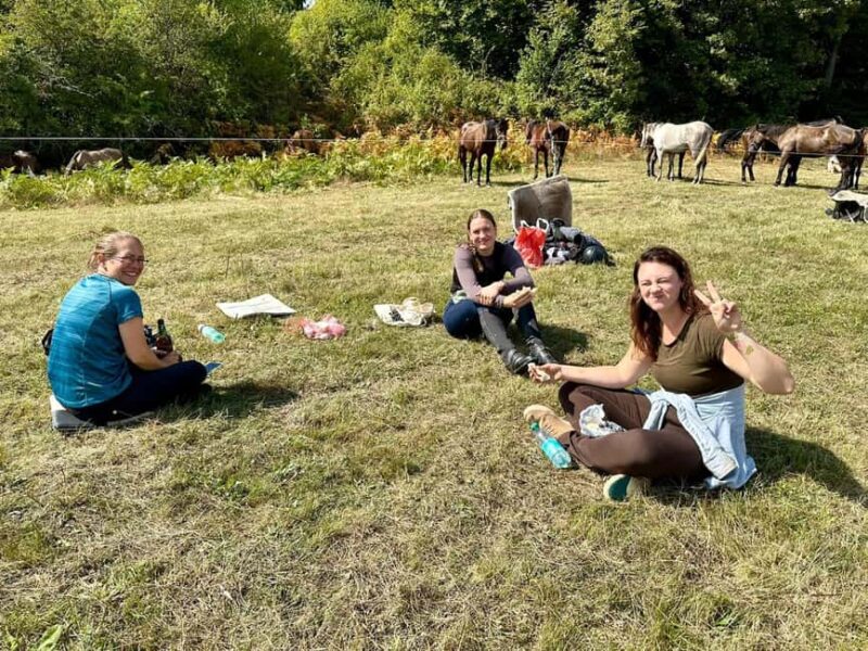 From Belgrade: Tara trail 6-Days Horseback Riding Adventures - Daily Meals and Authentic Serbian Cuisine