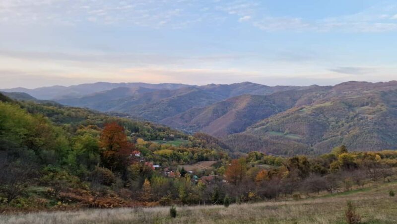 From Belgrade: Tara trail 6-Days Horseback Riding Adventures - Guides and Language Support