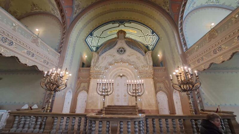 From Belgrade: Visit Subotica and stunning Zobnatica Stables - The Zobnatica Stud Farm: A Horse Lover’s Paradise