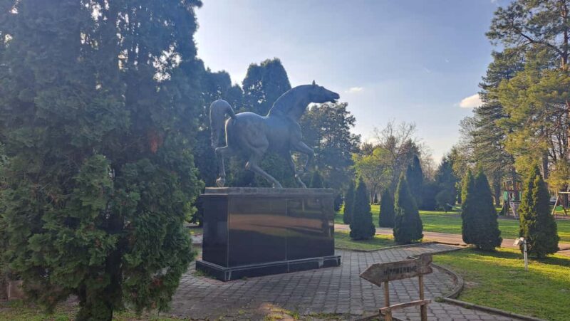 From Belgrade: Visit Subotica and stunning Zobnatica Stables - The Scenic Drive Back to Belgrade