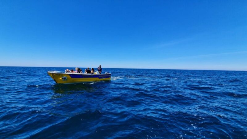 From Benagil: Benagil Cave & Marinha Beach Express Tour - What to Expect During the 30-Minute Journey