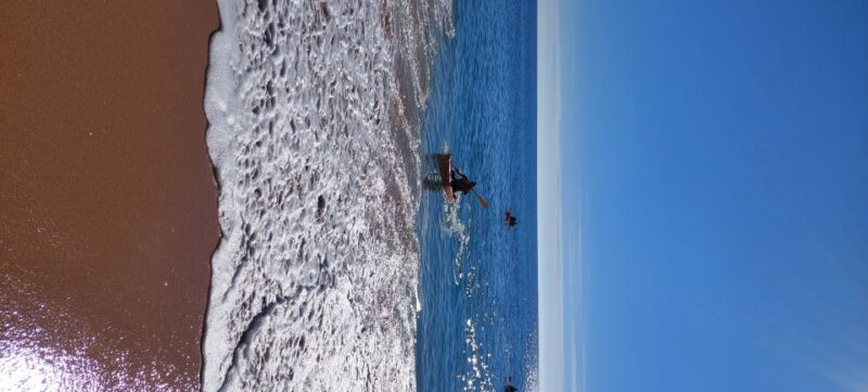 From Benagil: Benagil Caves Kayak Tour - Value and Flexibility