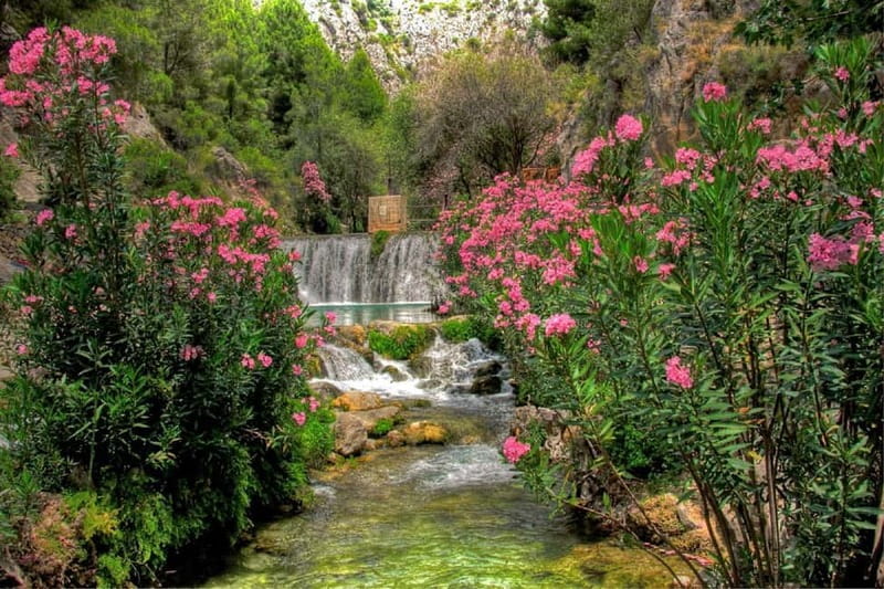 From Benidorm: Algar Waterfalls Tour with transfer - Frequently Asked Questions