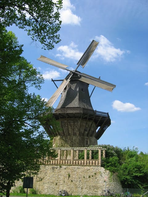 From Berlin: Gardens & Palaces of Potsdam Bike Tour - Key Points