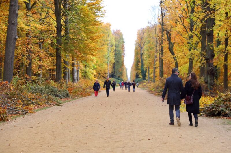 From Berlin: Historical Gems of Potsdam Private Day Trip - Pacing and Physical Expectations of the Tour