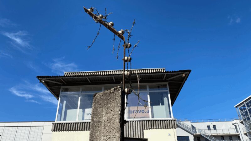 From Berlin: Kings, Crimes, & Spies Potsdam Day Trip by Van - Visiting the Memorial at Lindenstraße