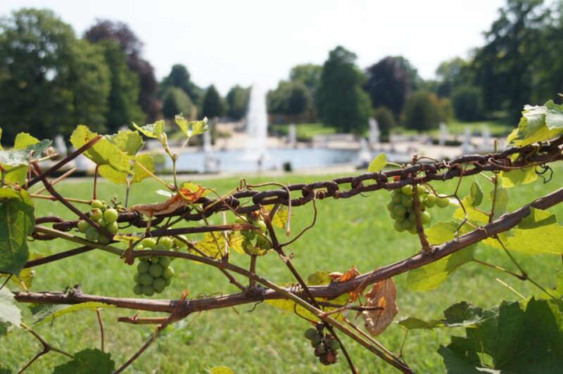 From Berlin: Potsdam Half-Day Tour in Spanish - The Starting Point at Alexanderplatz for Easy Access