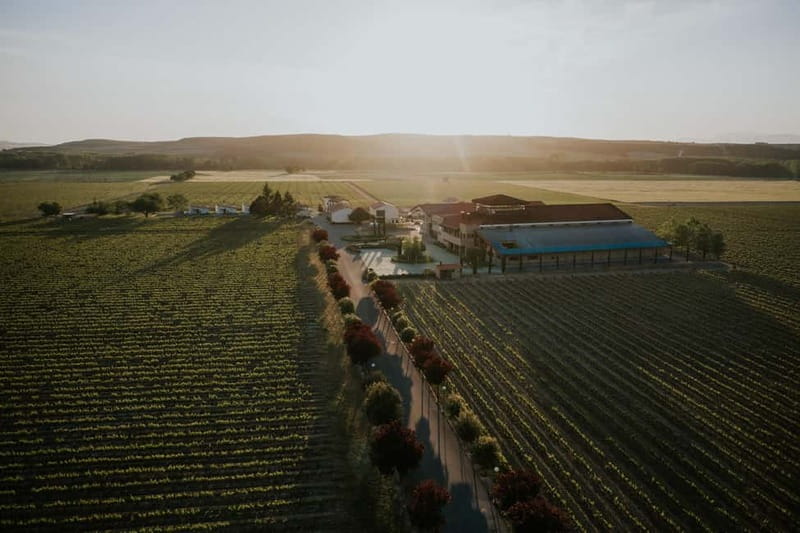 From Bilbao: La Rioja a journey to the vineyards & tradition - Key Points