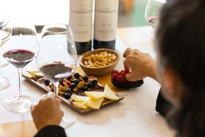 From Bilbao: La Rioja a journey to the vineyards & tradition - Exploring Laguardia: A Medieval Village Full of Character