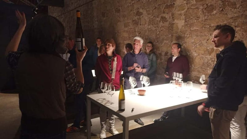From Bilbao: La Rioja Wineries Day Trip with Wine Tastings - What Sets This Tour Apart