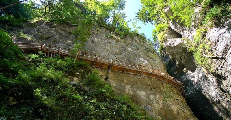From Bled: Half-Day Pokljuka Gorge Trail Hike - Explore a Secret Gorge Near Bled in Triglav National Park