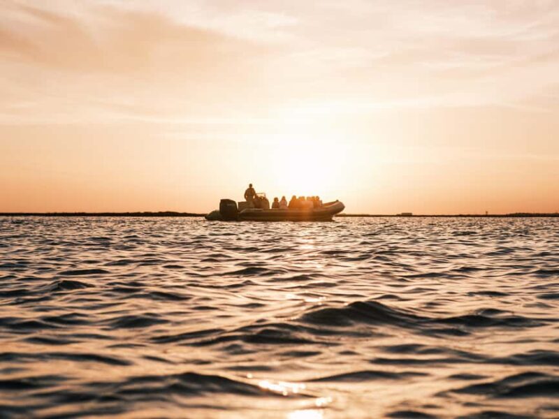 From Boat to Table: Ria Formosa Sunset and Tasting - Discover Faro’s Natural Splendor on a Sunset Boat Ride