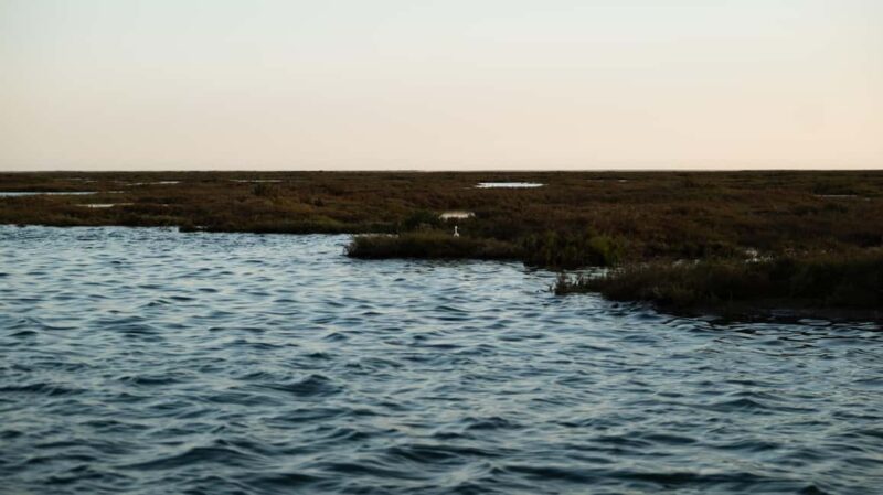 From Boat to Table: Ria Formosa Sunset and Tasting - Unmatched Authentic Faro Experience