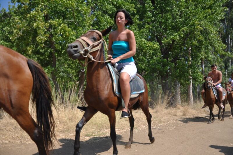 From Bodrum/Gümbet: Guided Horseback Riding Expereince - Why This Tour Offers Good Value