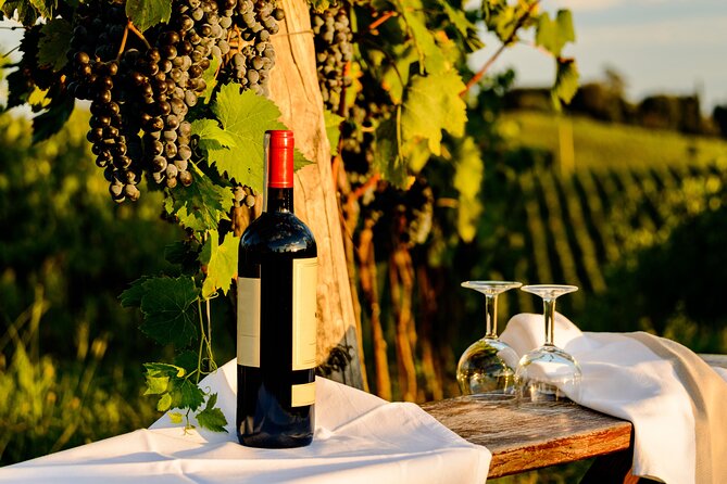 From Bologna: Chianti wine Experience with lunch - Journey Through Chianti’s Scenic Hills and Villages