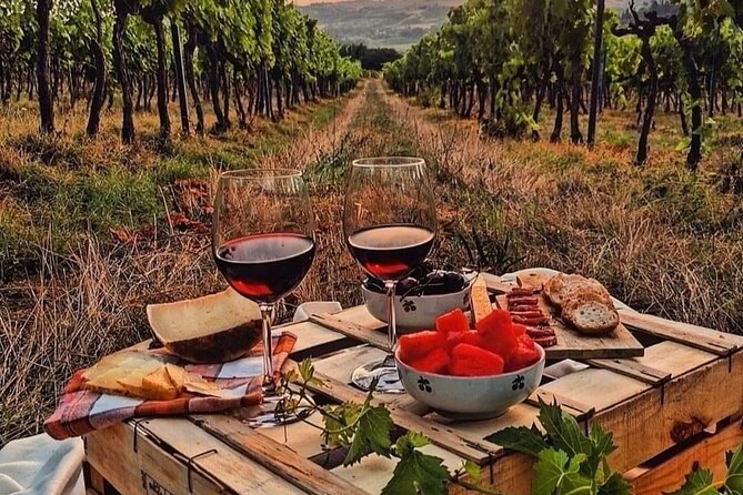 From Bologna: Chianti wine Experience with lunch - Flexibility and Booking Policies