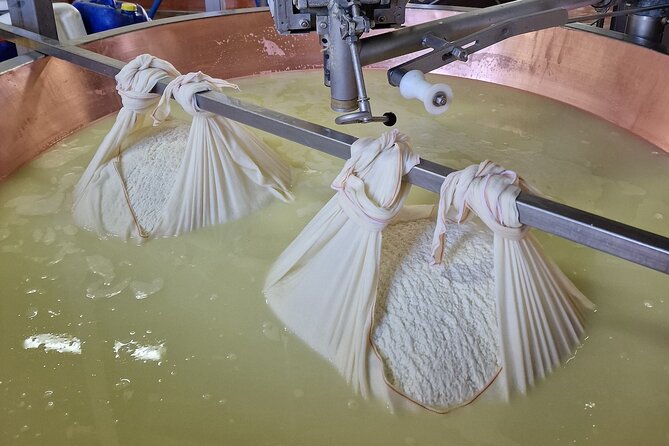 From Bologna: Parmesan Cheese & Balsamic Vinegar Tour+Lunch - Practical Tips for Participants