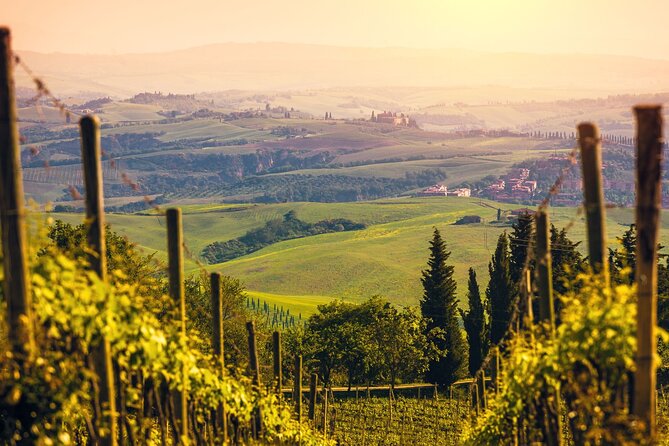 From Bologna: Verona and Valpolicella Day Tour - Practical Details: Pickup, Transport, and Group Size