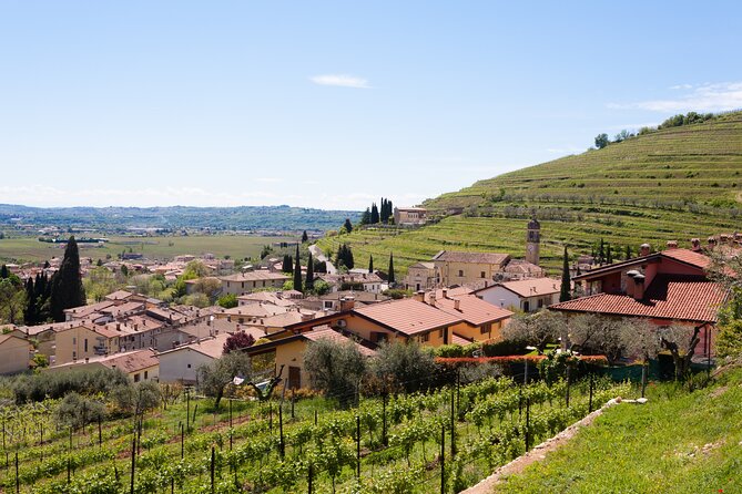 From Bologna: Verona and Valpolicella Day Tour - Limitations and Considerations