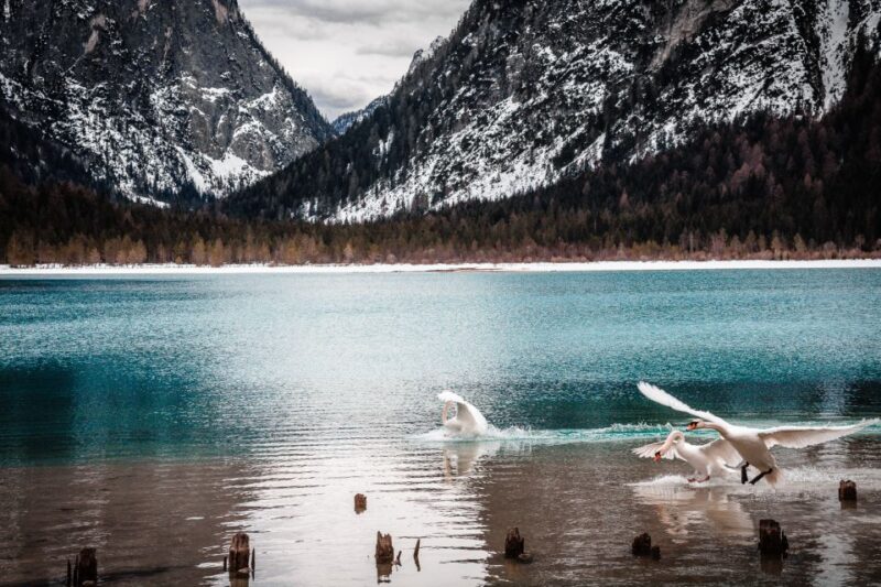 From Bolzano: The Heart of the Dolomites Private Tour by Car - What Makes This Tour Stand Out: Scenic Routes and Iconic Landmarks