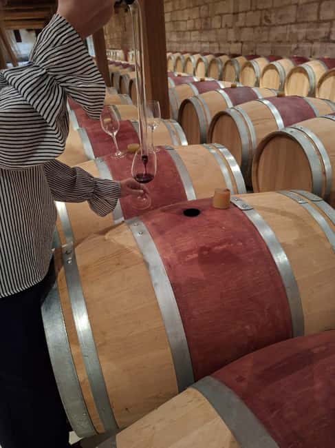 From Bordeaux: 2 Wineries MEDOC Tour with Tastings - Discover Bordeaux’s Medoc Region with a 2 Wineries Tour and Tastings