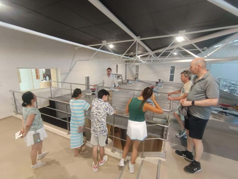 From Bordeaux: 2 Wineries MEDOC Tour with Tastings - Château Margaux: A Scenic Photo Stop