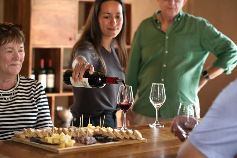 From Bordeaux: Afternoon Saint-Emilion Wine Tasting Trip - Practical Details and Group Experience