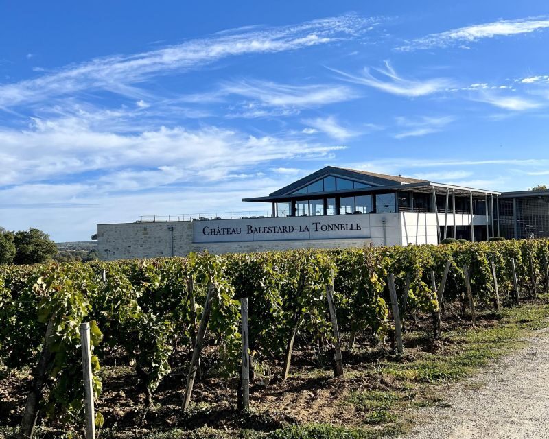 From Bordeaux: Afternoon Saint-Emilion Wine Tasting Trip - Value for Money and Overall Satisfaction