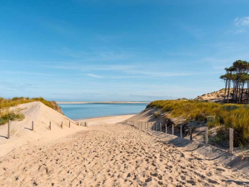 From Bordeaux: Arcachon and Pilat Dune Private Tour - Quality of Guides and Personalization