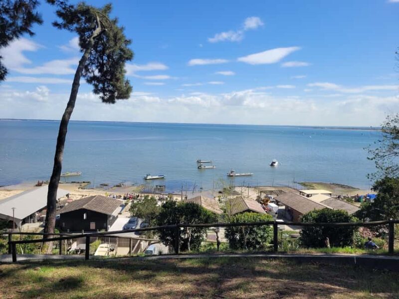 From Bordeaux: Cap Ferret Peninsula Private Tour, Ocean and Oyster Village - Visiting LHerbe, the Oyster Village of Charm
