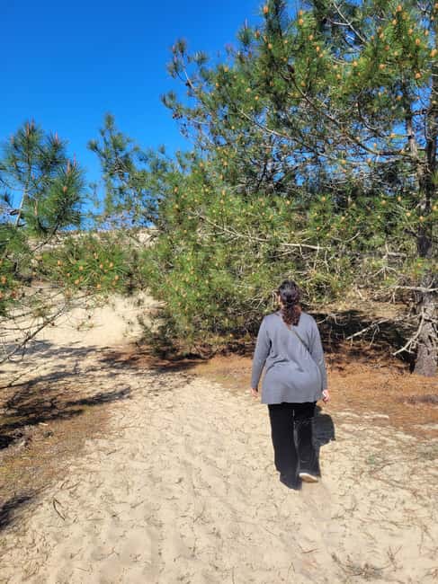 From Bordeaux: Cap Ferret Peninsula Private Tour, Ocean and Oyster Village - Return and Drop-off in Bordeaux