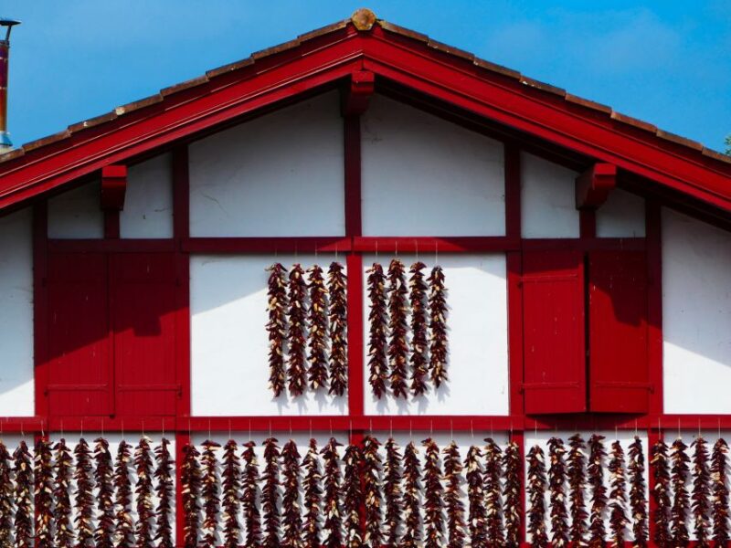 From Bordeaux: Full-Day Private Basque Country Tour - Comfortable Transportation and Expert Guidance