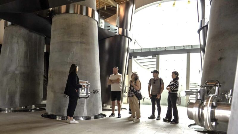 From Bordeaux: Half-Day Saint-Émilion Tour and Wine Tasting - Flexibility and Booking Options