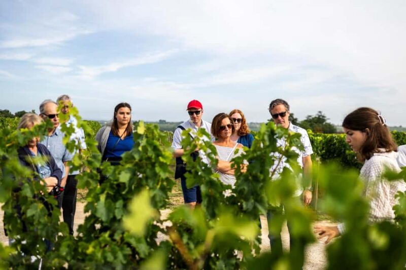 From Bordeaux: Half-day trip to Saint-Emilion with Eglise Monolithe - Practical Tips for Participants