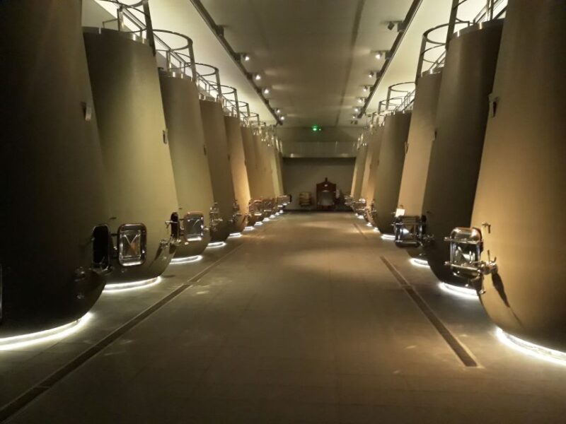 From Bordeaux: Médoc Vineyard and Chateau Tour by Sidecar - Comparing this Tour to Other Bordeaux Experiences