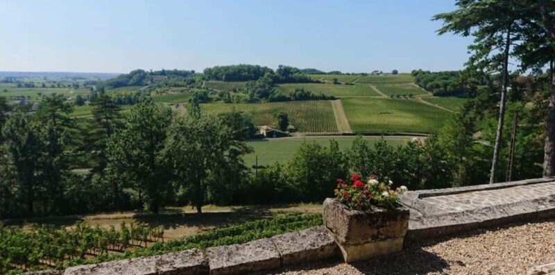 From Bordeaux: Private Tour in the Chateaux of Saint-Émilion - Exclusive Private Tour in Saint-Émilion’s Prestigious Châteaux