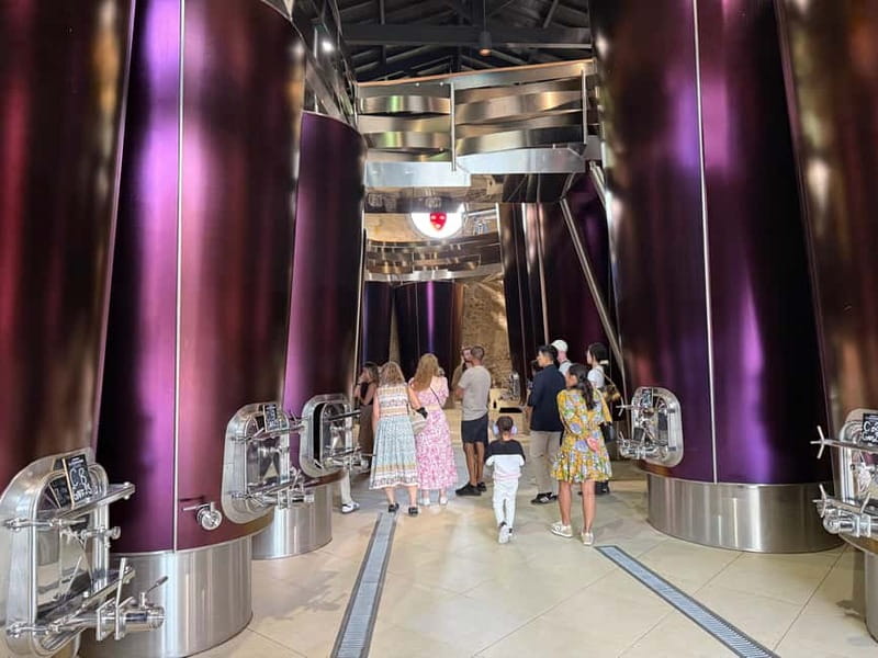 From Bordeaux: Private Tour in the Chateaux of Saint-Émilion - Guided Stroll Through Saint-Émilion Village