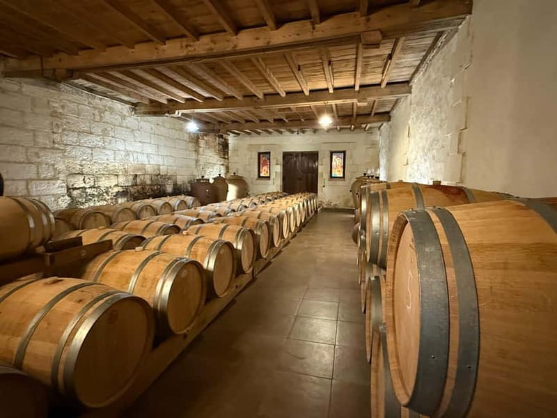 From Bordeaux: Private Tour in the Chateaux of Saint-Émilion - Organized and Hassle-Free Day