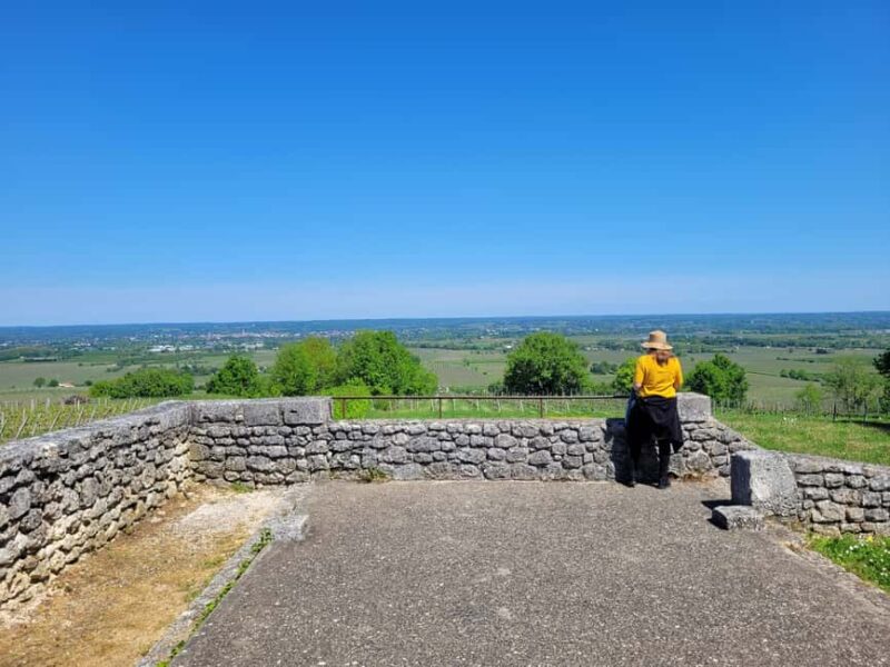 From Bordeaux: Private tour Monbazillac (Castle, Wine & Food in Dordogne) - Personalized and Flexible Tour Experience