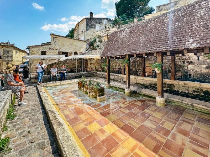 From Bordeaux: Saint-Emilion Guided Wine Tasting Tour - The Food and Wine Experience at the Family Winery