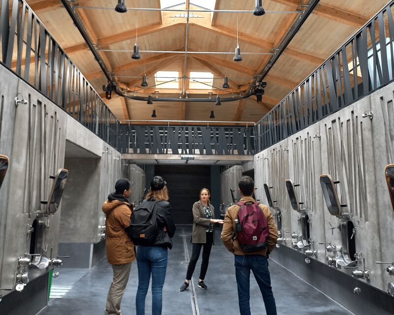 From Bordeaux: Saint-Émilion Half-Day Tour with Wine Tasting - Visiting an Organic Vineyard in Saint-Émilion