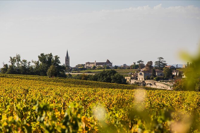 From Bordeaux: Saint-Émilion Half-Day Trip with Wine Tasting - Wine Tasting at a Family-Run Estate