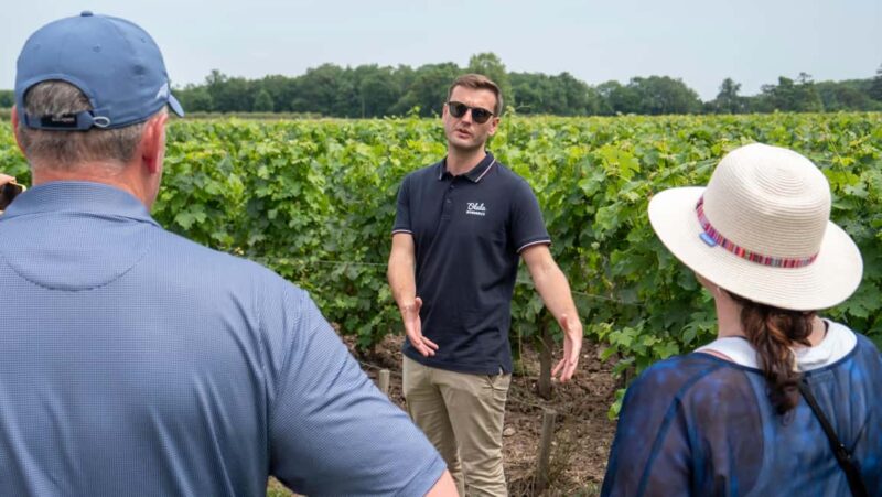 From Bordeaux: St-Emilion Day Tour with Tastings and Lunch - The Picnic Lunch at a Château: Local Flavors in a Beautiful Setting
