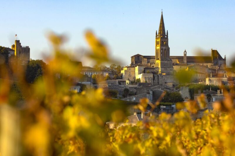 From Bordeaux: St. Emilion Village Half-Day Wine Tour - The Guides: Knowledgeable and Personable