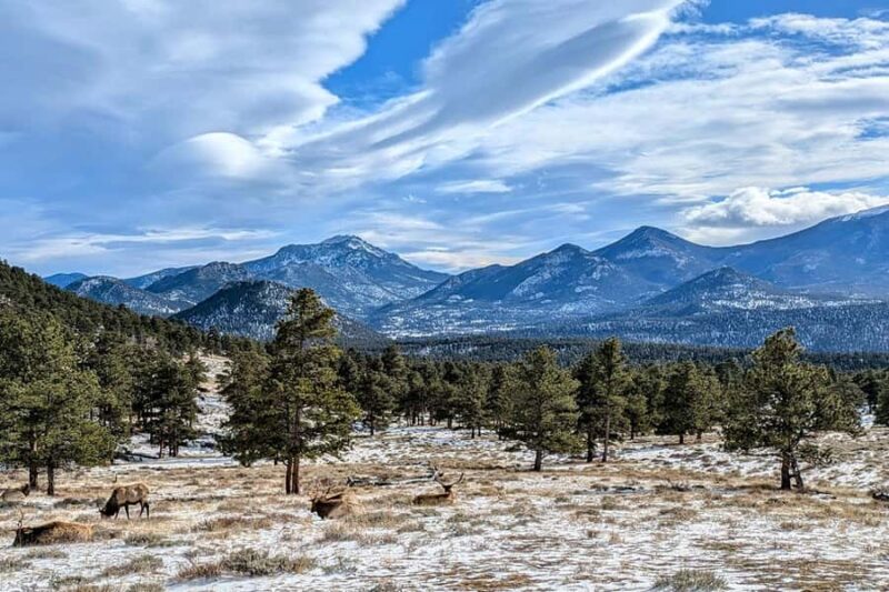 From Boulder or Denver: Rocky Mountain National Park Tour - Experience the Rocky Mountains on a Full-Day Tour from Denver or Boulder