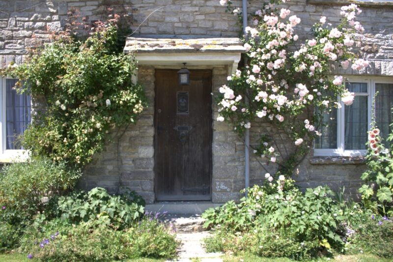 From Bournemouth: Jurassic Coast & Isle of Purbeck Day Tour - The Guide’s Role and Tour Atmosphere