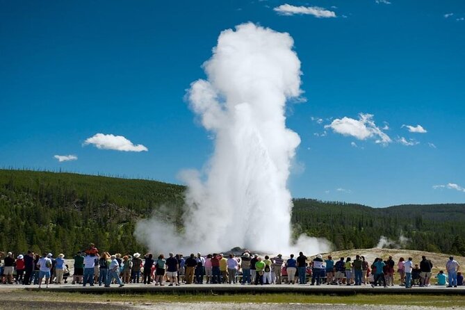 From Bozeman Yellowstone Full Day Tour Lower Loop - Starting Point at Bozeman and Small Group Format
