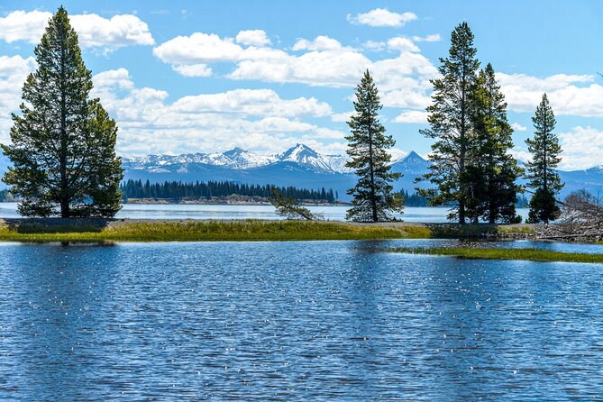 From Bozeman Yellowstone Full Day Tour Lower Loop - Practical Details and Accessibility