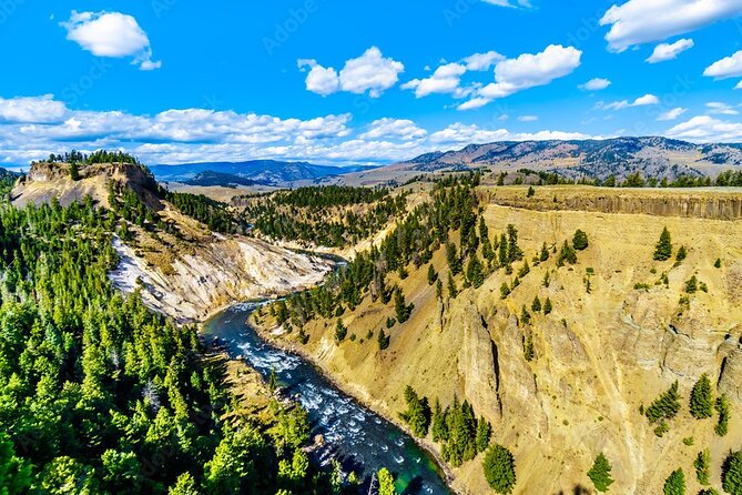 From Bozeman Yellowstone Full Day Tour Upper Loop - Discover Yellowstone’s Upper Loop on a Full-Day Tour from Bozeman for $469