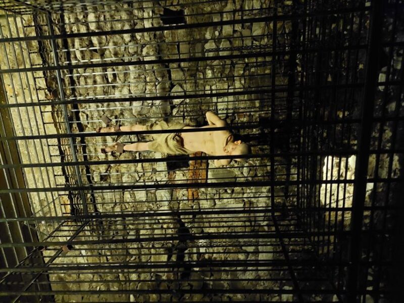 From Brasov: Corvin Castle and Sibiu (Optional Sighisoara) - Scenic Journey Through the Transylvanian Wilderness